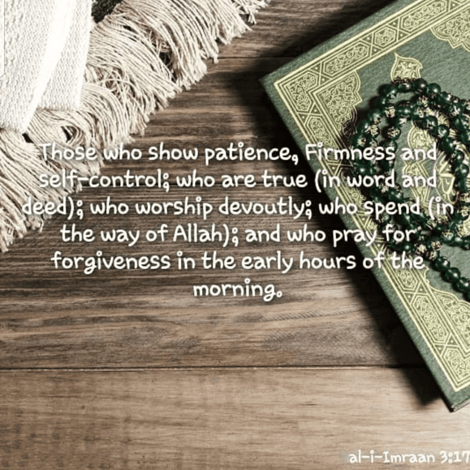 The Patient, The True, Seek Forgiveness