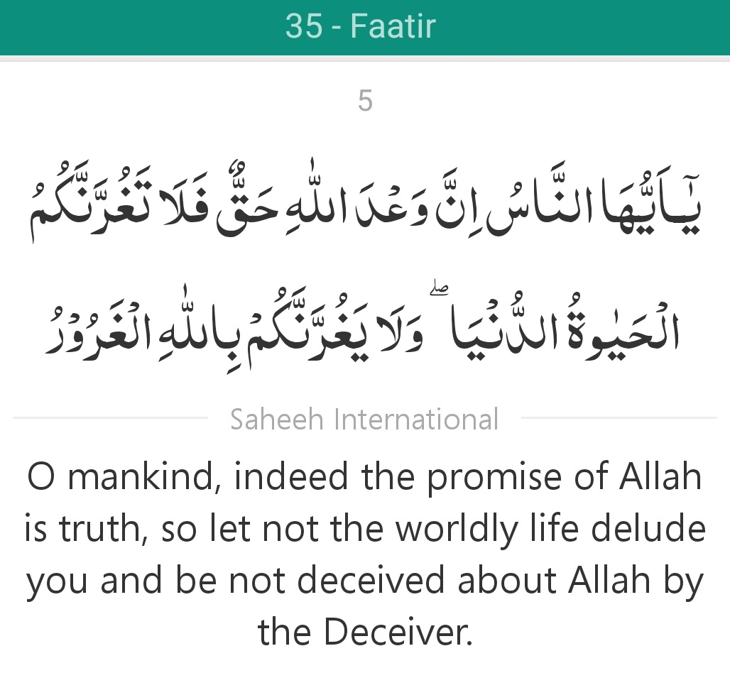 Surah 35 Verse 5