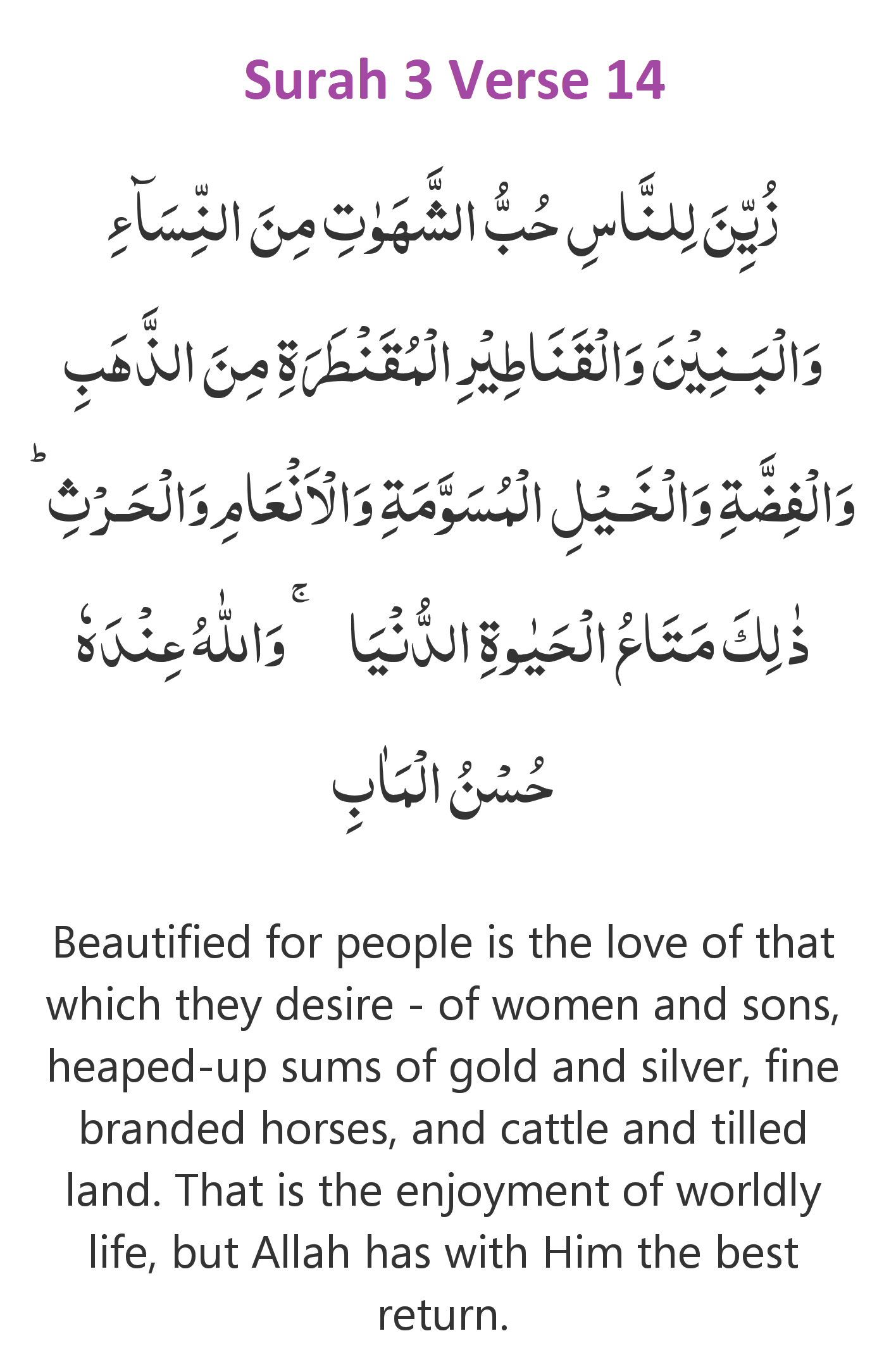 Surah 3 Verse 14