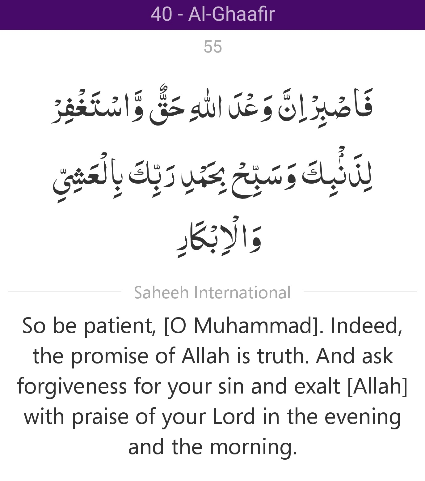 Surah 40 Verse 55