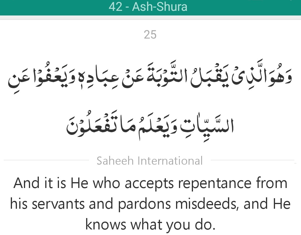 Surah 42 Verse 25