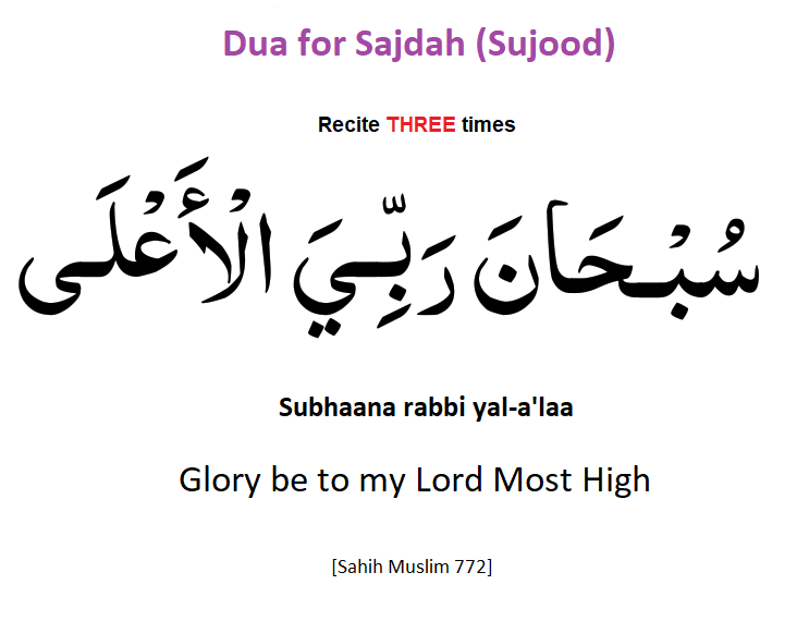 Dua for Sajdah (Sujood)